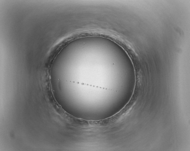 X0000115691494200911251802