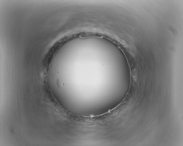 X0000115691495200911251802