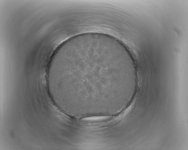 X0000115691497200911251802