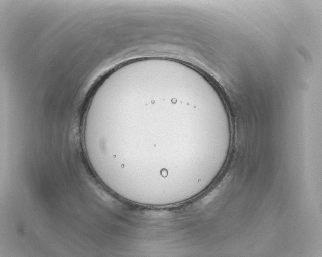 X0000115691498200911251802