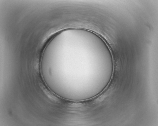 X0000115691499200911251802