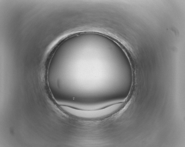 X0000115691502200911251802