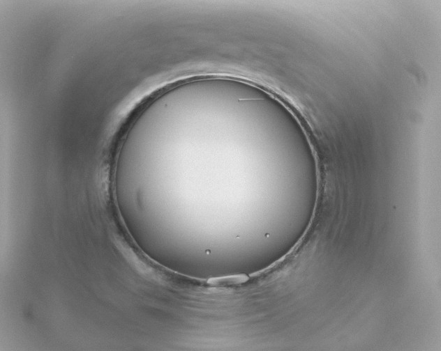 X0000115691503200911251802