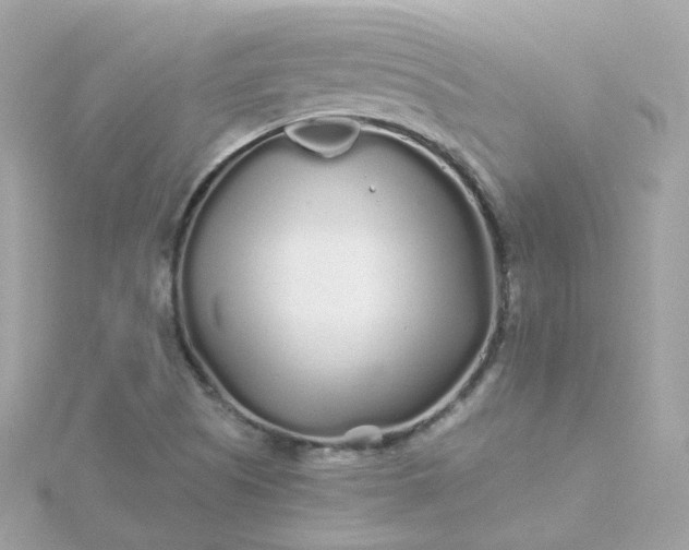 X0000115691505200911251802