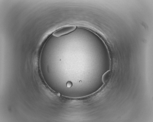 X0000115691506200911251802