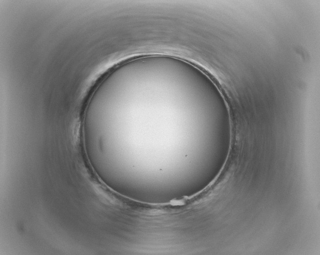 X0000115691507200911251802