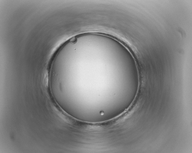 X0000115691509200911251802