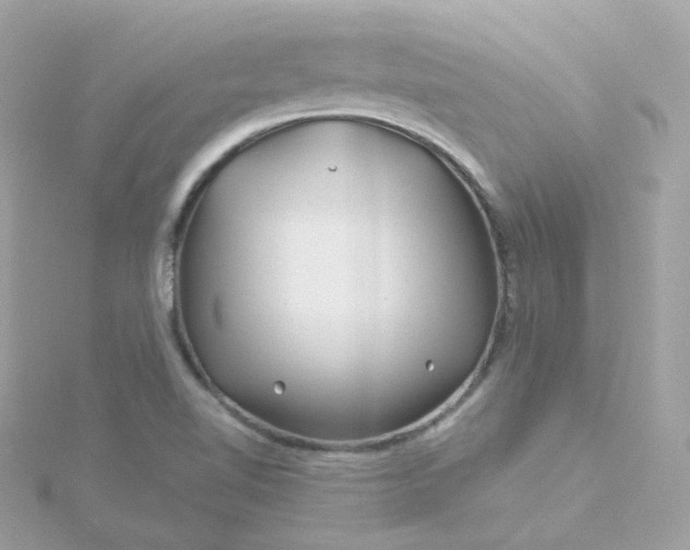 X0000115691510200911251802