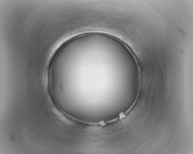 X0000115691511200911251802