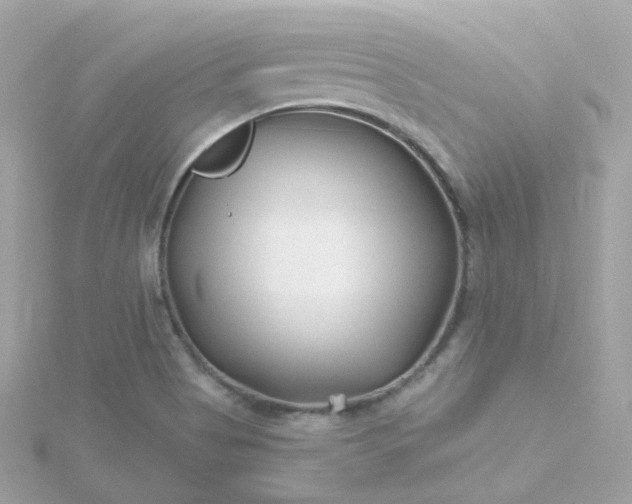 X0000115691513200911251802