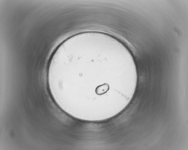 X0000115691514200911251802