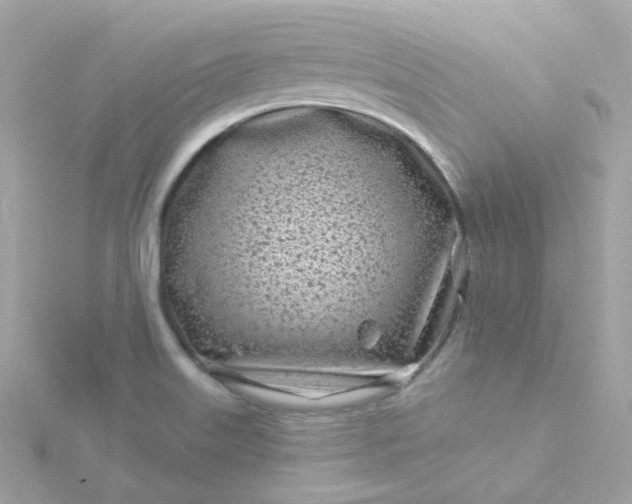 X0000115691515200911251802