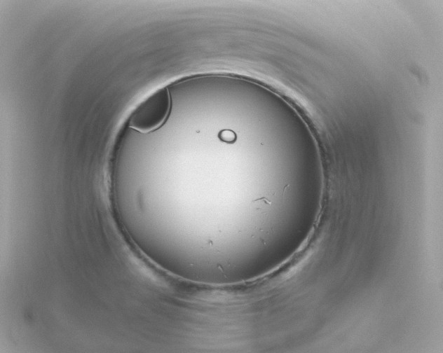 X0000115691517200911251802