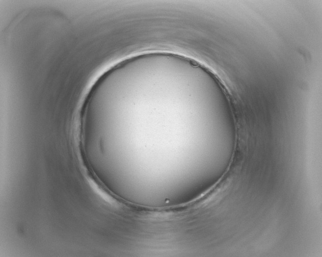 X0000115691519200911251802