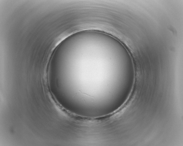 X0000115691521200911251802