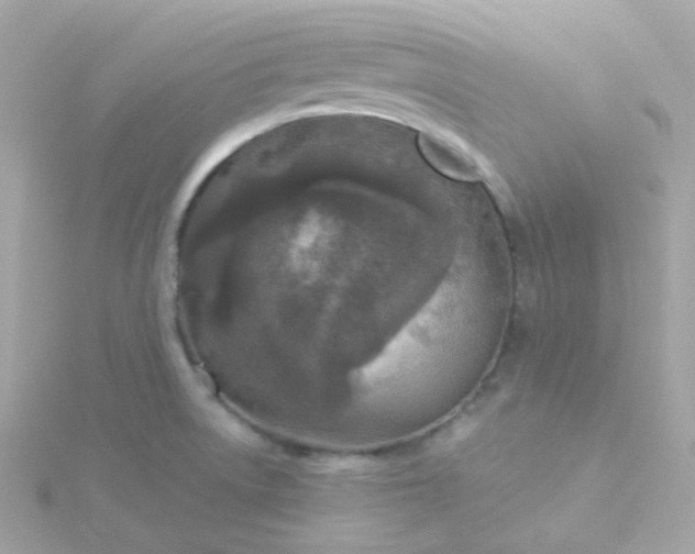 X0000115691522200911251802