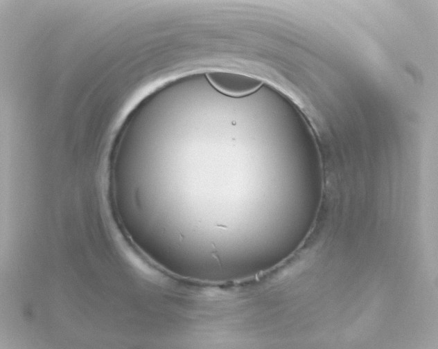 X0000115691523200911251802