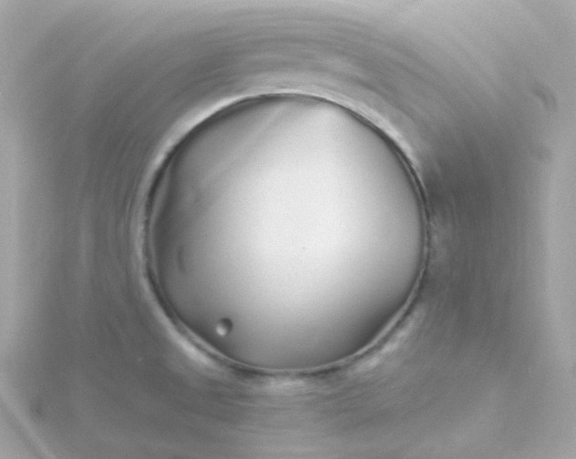 X0000115691525200911251802