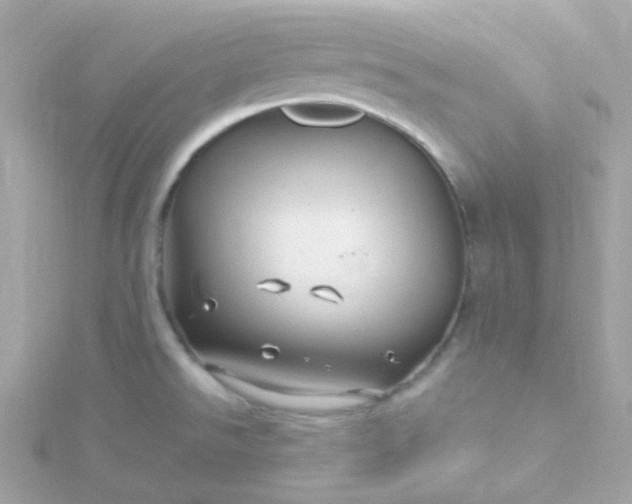 X0000115691526200911251802