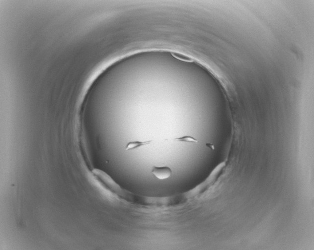 X0000115691527200911251802