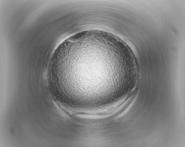 X0000115691529200911251802