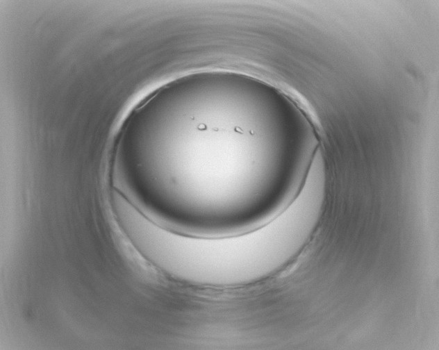 X0000115691530200911251802