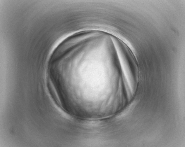 X0000115691533200911251802