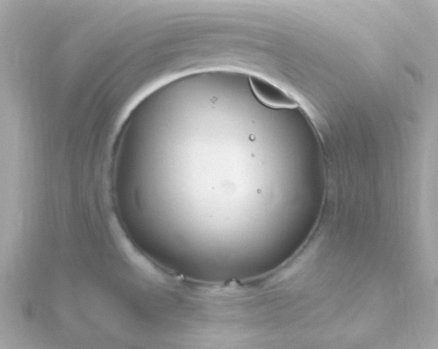 X0000115691534200911251802