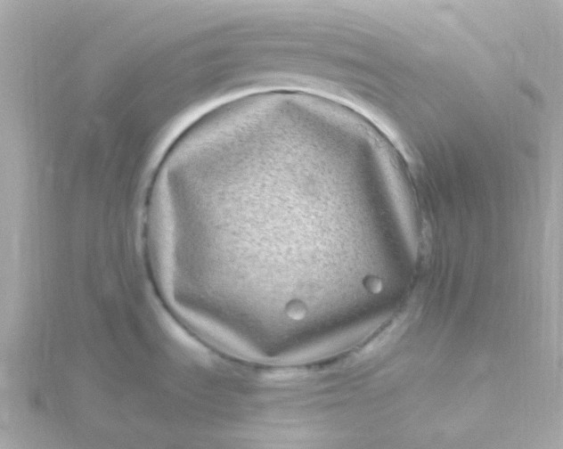 X0000115691535200911251802