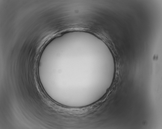 X0000115690001200912031453