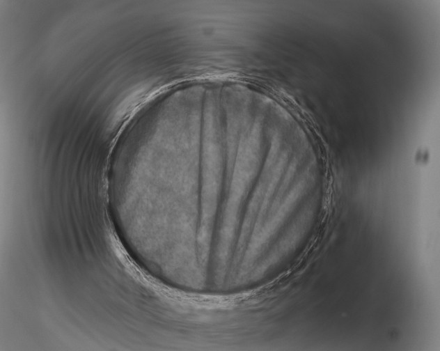 X0000115690002200912031453