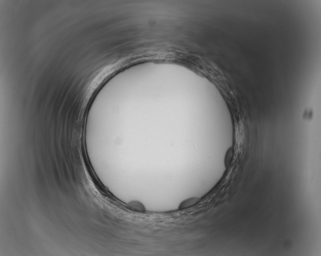 X0000115690003200912031453