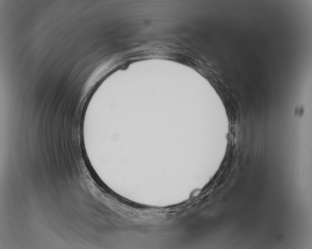 X0000115690004200912031453