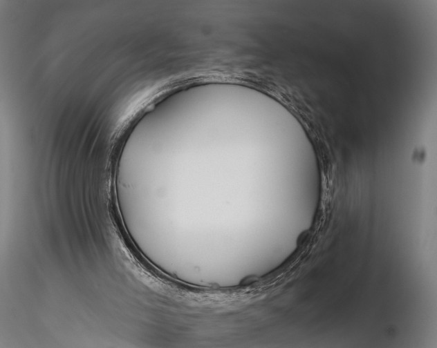 X0000115690005200912031453