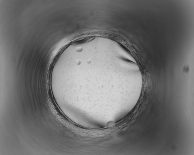 X0000115690006200912031453
