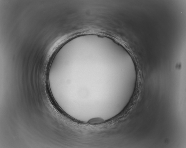 X0000115690007200912031453