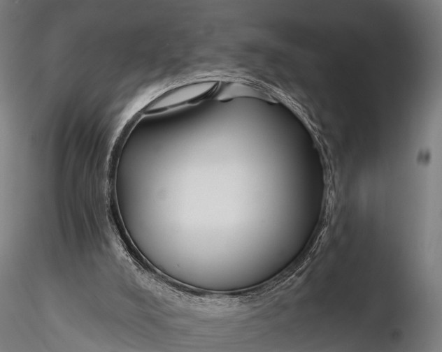 X0000115690008200912031453