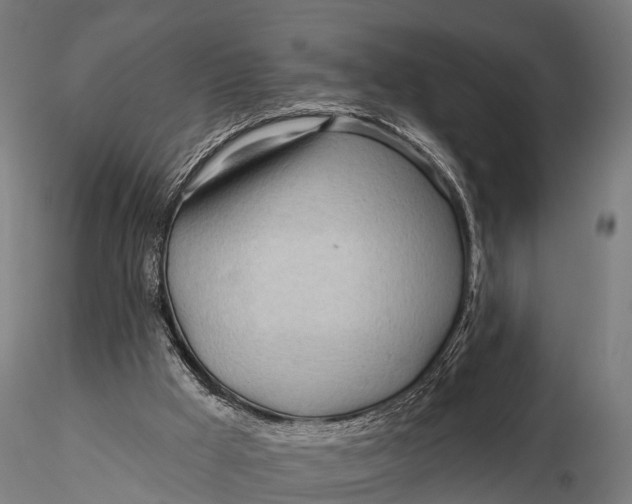 X0000115690009200912031453