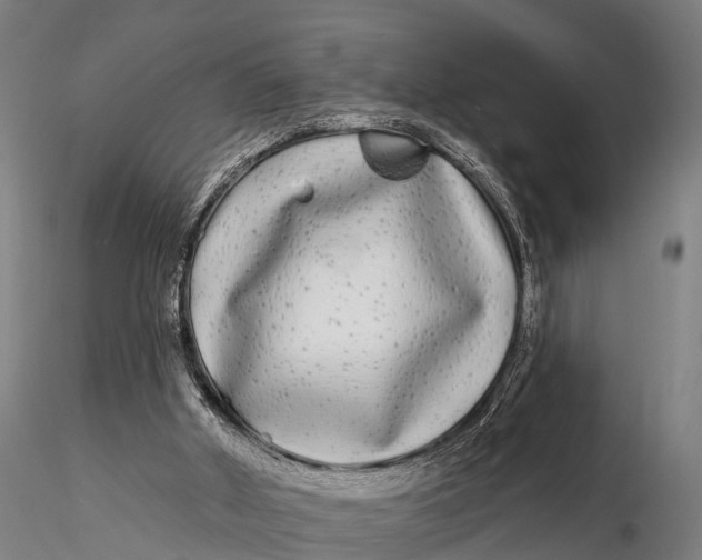 X0000115690010200912031453