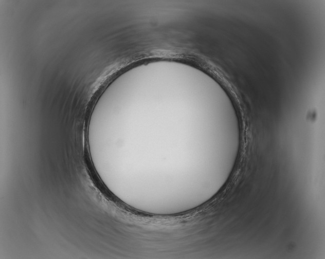 X0000115690011200912031453