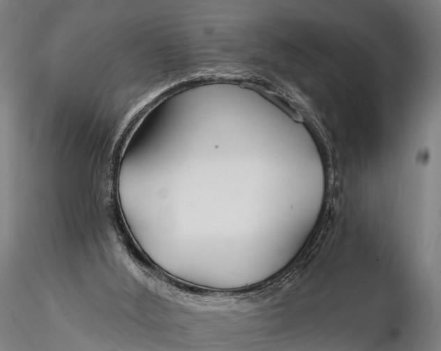 X0000115690012200912031453