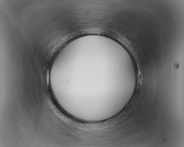 X0000115690013200912031453