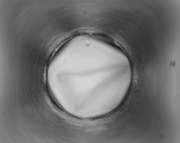 X0000115690014200912031453