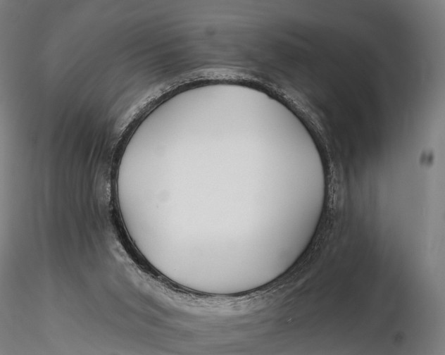 X0000115690015200912031453