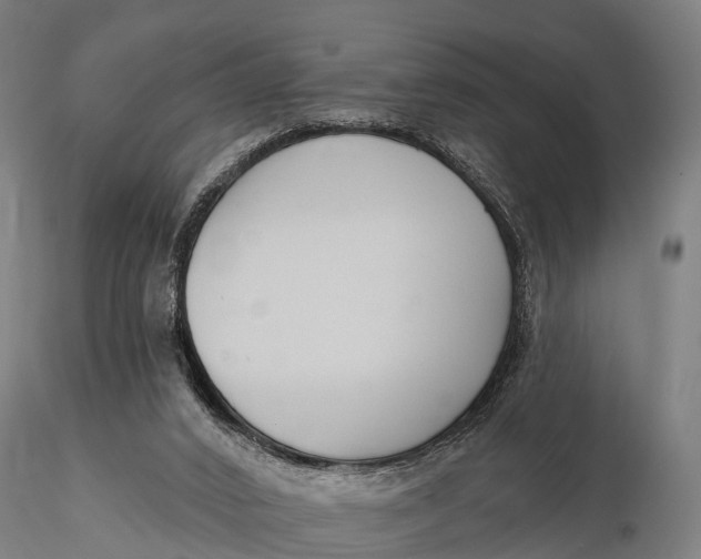 X0000115690016200912031453
