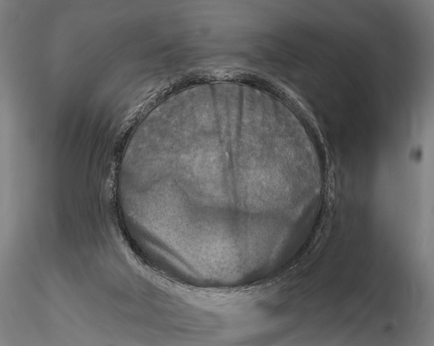 X0000115690018200912031453