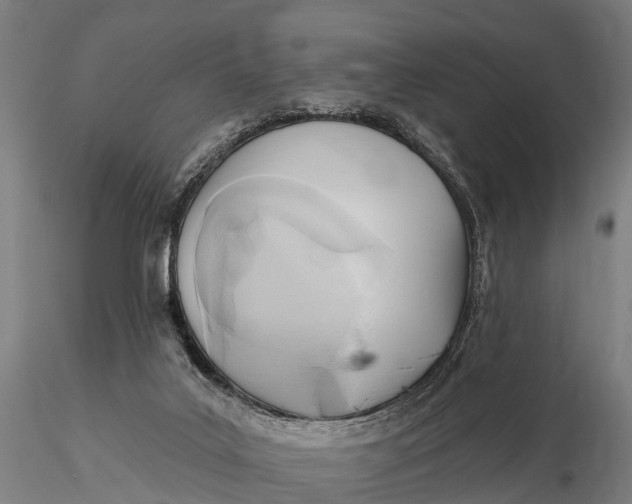 X0000115690019200912031453