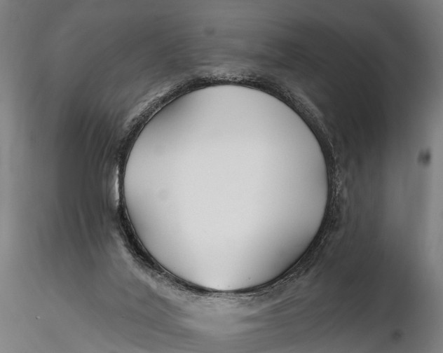 X0000115690020200912031453