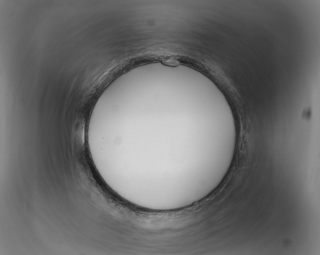X0000115690021200912031453