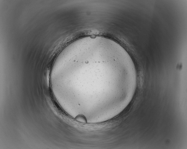 X0000115690022200912031453